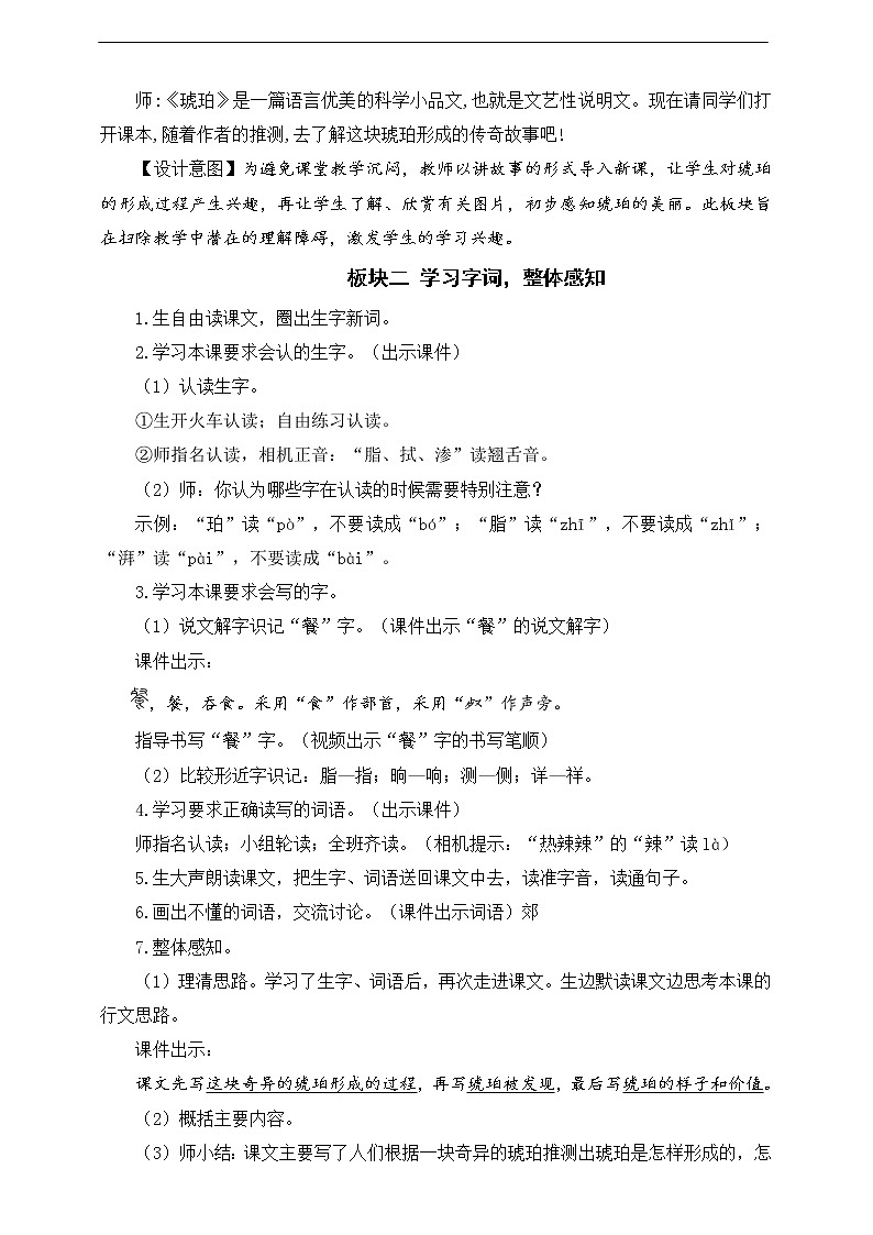 5《琥珀》教案第2页