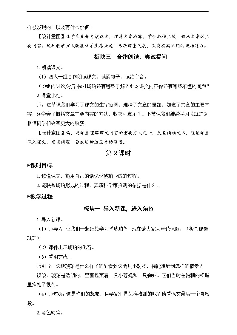 5《琥珀》教案第3页