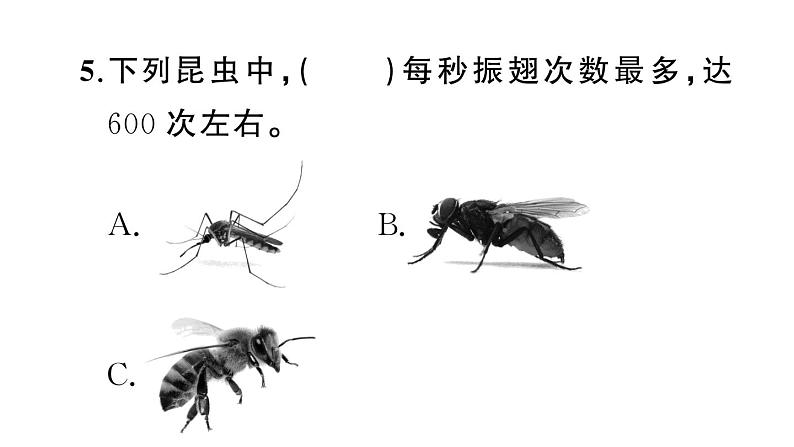 部编版小学语文四年级下册快乐读书吧练习试题06