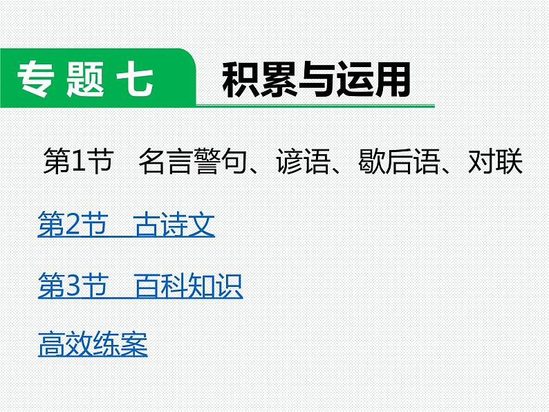 小学语文升学考试专题复习：专题七  积累与运用02