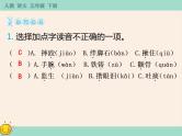 13《人物描写一组》作业课件