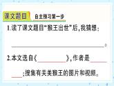 7 猴王出世 作业课件