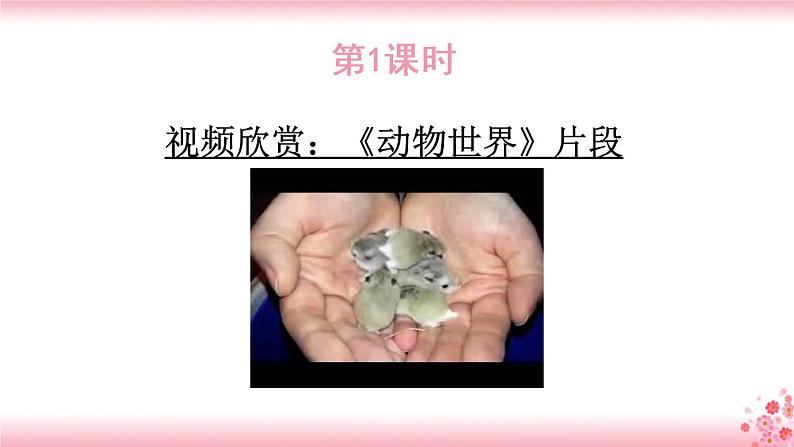 第四单元《习作：我的动物朋友》PPT+音视频素材02