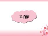 11《白桦》PPT+音视频素材