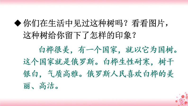11《白桦》PPT+音视频素材05