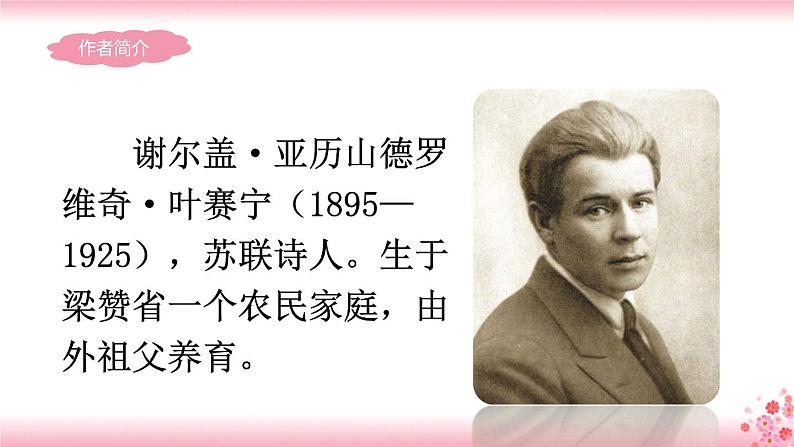 11《白桦》PPT+音视频素材07