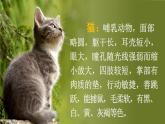 13《猫》PPT+音视频素材