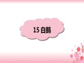 15《白鹅》PPT+音视频素材