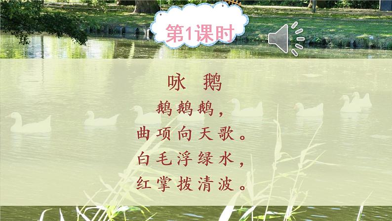 15《白鹅》PPT+音视频素材02