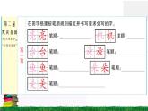 13《荷叶圆圆》作业课件