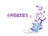 小升初集训一拼音与字 课件