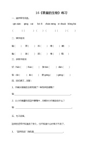 小学语文人教部编版六年级下册第五单元16 真理诞生于一百个问号之后同步达标检测题