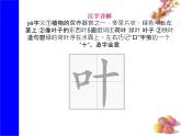 课文10《端午粽》生字课件+视频