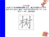 课文12《古诗二首》生字课件+视频