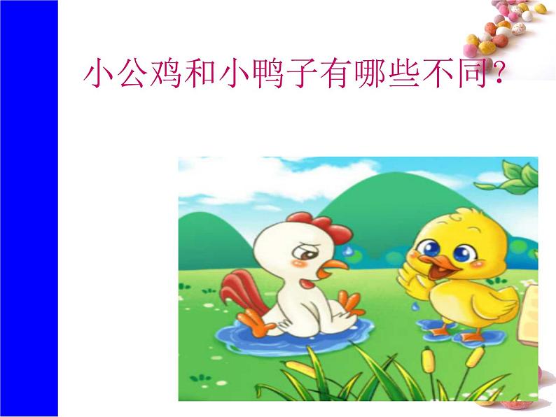 课文5《小公鸡和小鸭子》生字课件+视频02