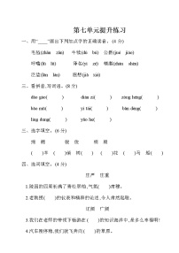 小学语文人教部编版五年级下册第七单元单元综合与测试单元测试课时训练