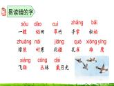第二單元 單元復(fù)習(xí) 課件