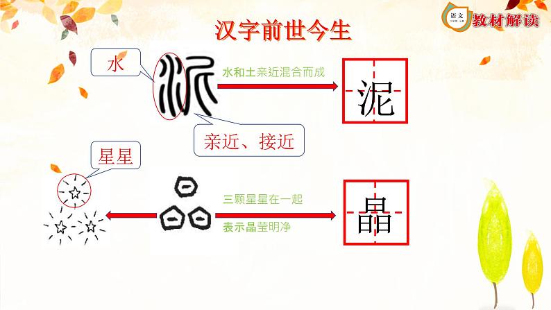 5.铺满金色巴掌的水泥道PPT教学课件三年级上册语文部编版05