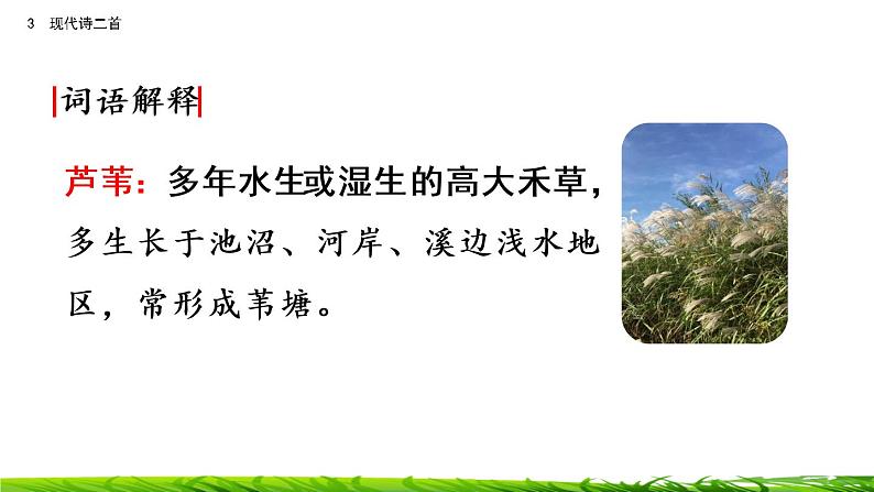 3《现代诗二首》课件第8页