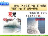1《观潮》课件+视频素材