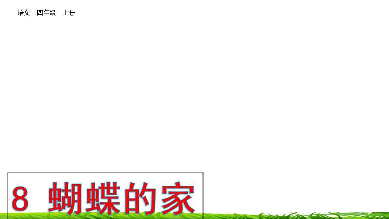 8《蝴蝶的家》课件+视频素材03