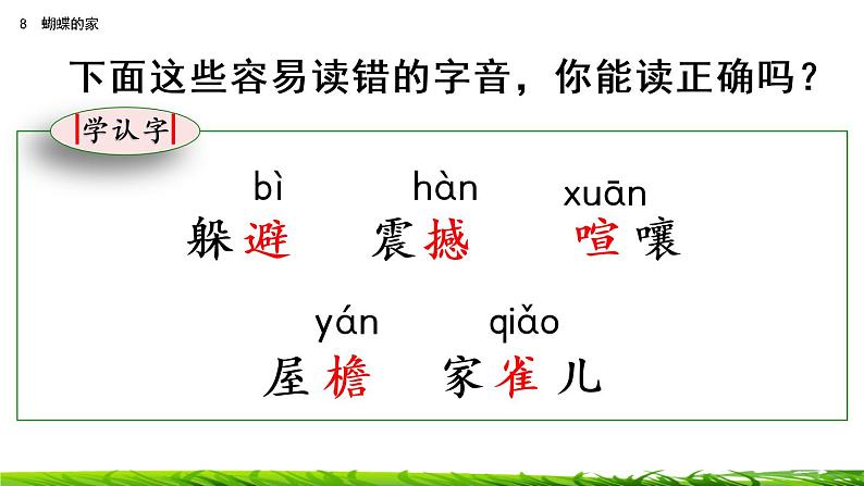 8《蝴蝶的家》课件+视频素材06