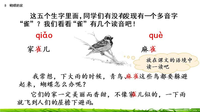 8《蝴蝶的家》课件+视频素材07