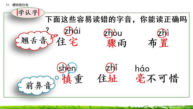 11《蟋蟀的住宅》课件+视频素材05