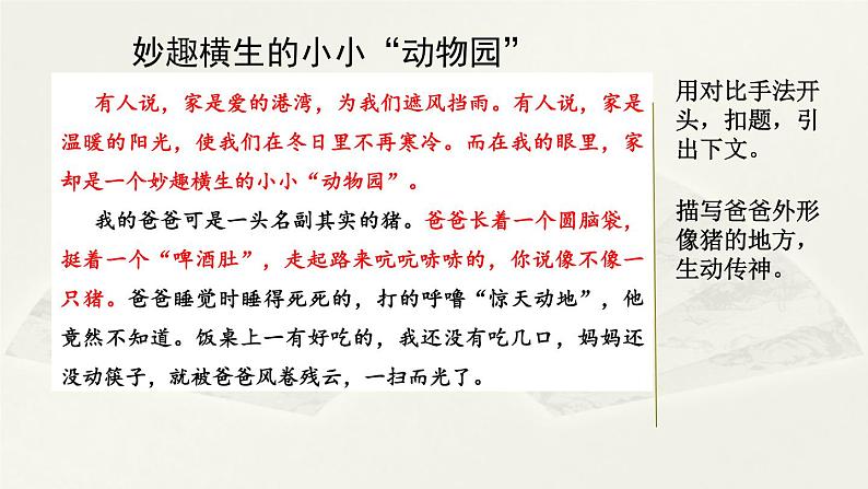 第二单元《习作：小小“动物园”》课件01