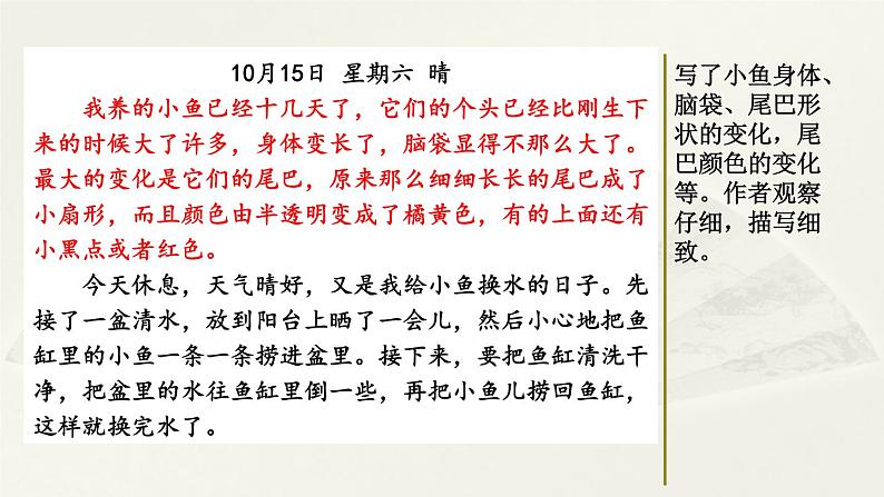 第三单元《习作：写观察日记》课件02