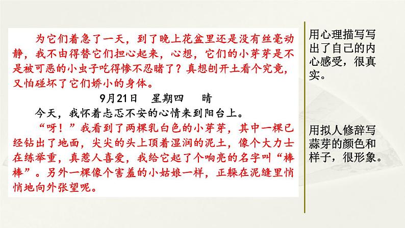 第三单元《习作：写观察日记》课件03