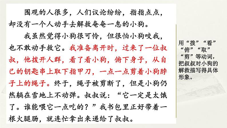 第五单元《习作：生活万花筒》课件02