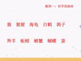 语文园地八 课件