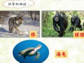 语文园地八 课件