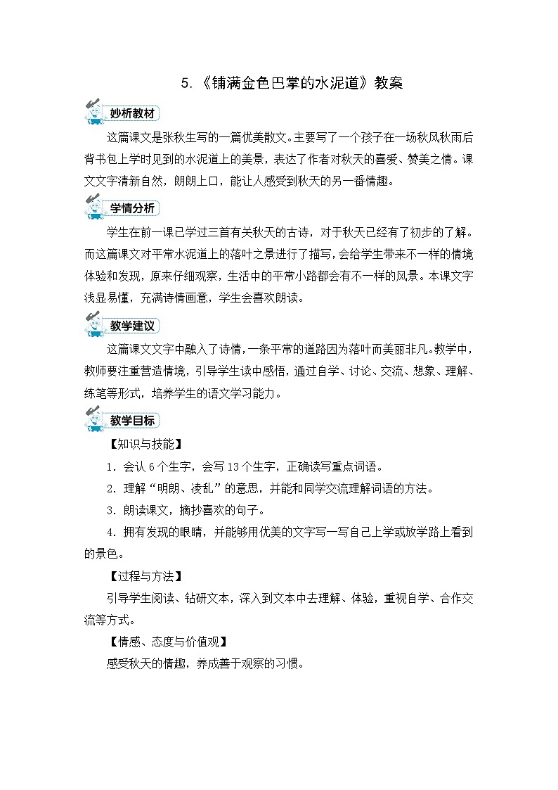 5.《铺满金色巴掌的水泥道》教案01