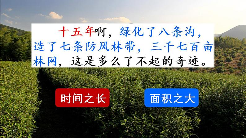 20《青山不老》课件+视频素材08