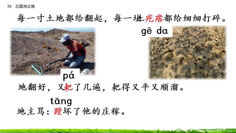 21《三黑和土地》课件+视频素材06