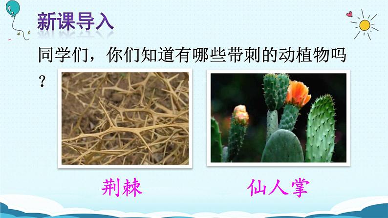 23.《带刺的朋友》课件01