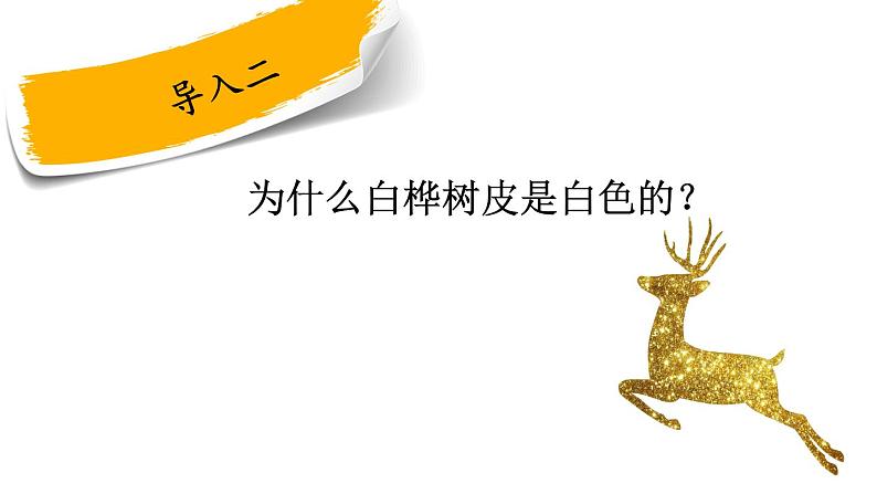 部编版小学语文四年级下册11《白桦》课件03