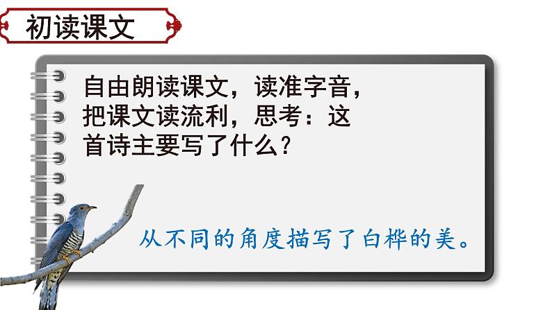 部编版小学语文四年级下册11《白桦》课件04