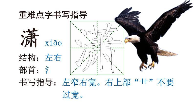 部编版小学语文四年级下册11《白桦》课件07