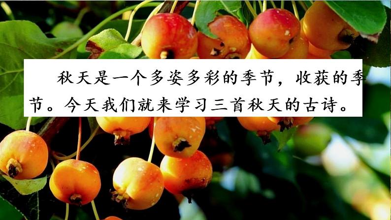 三年级上册第二单元4 古诗三首 课件+视频01