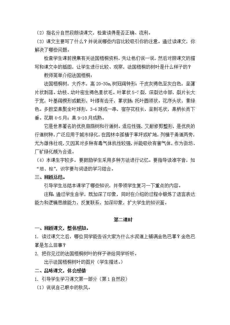 5.铺满金色巴掌的水泥道 创新教案02