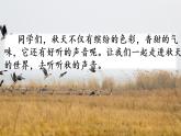 7 聽(tīng)聽(tīng)，秋的聲音 課件+視頻
