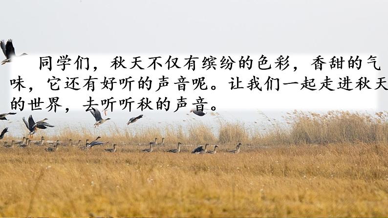 7 听听，秋的声音 课件+视频01