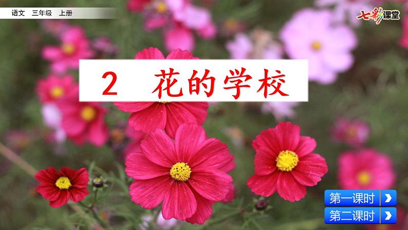 2 花的学校 课件+视频02