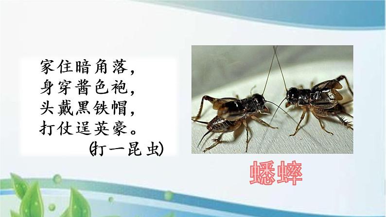 10 在牛肚子里旅行 课件+视频01