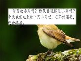 15 搭船的鳥 課件+視頻