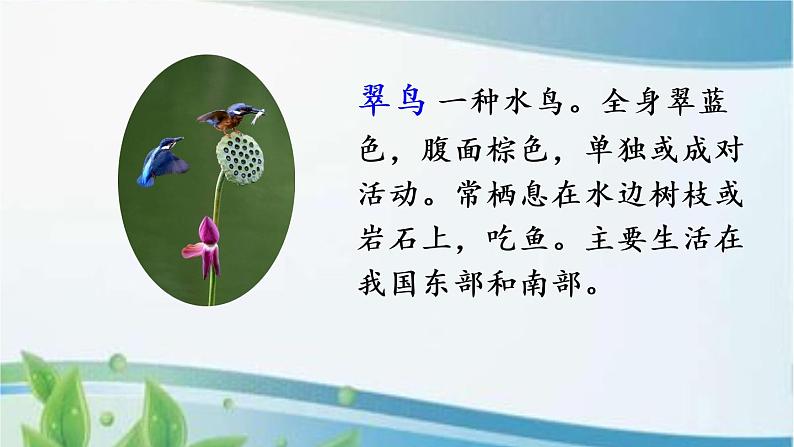 15 搭船的鸟 课件+视频04