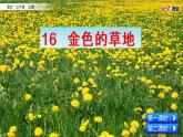 16 金色的草地 課件+視頻